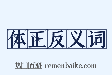 体正反义词是什么意思的图片
